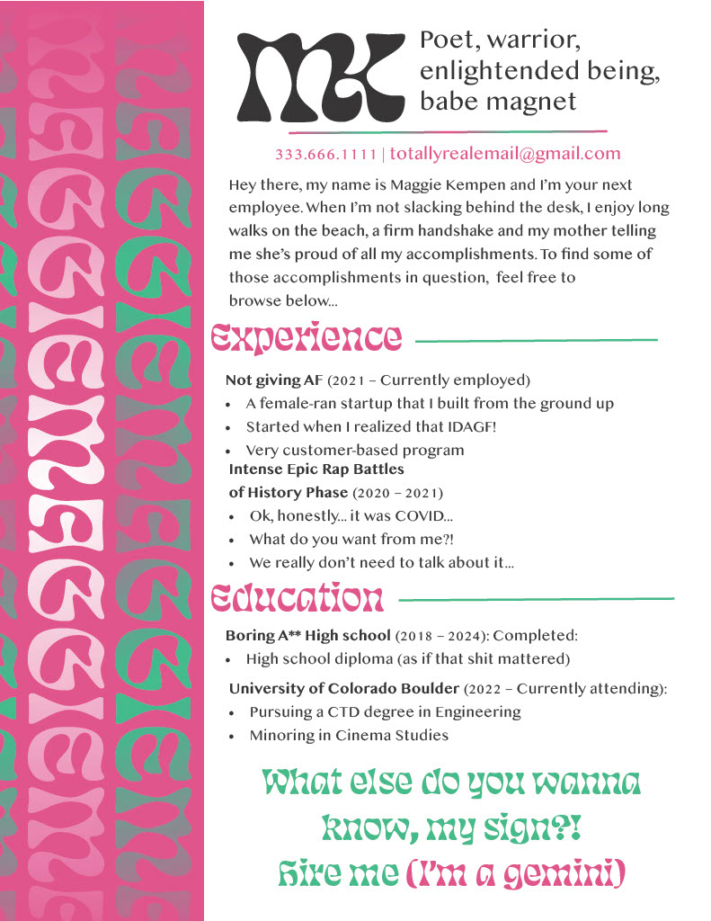 fake resume